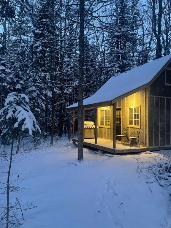 HarcourtTiny Home Bliss的雪中树林中的小屋