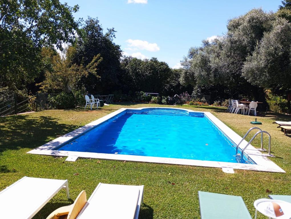 布拉加Quinta da Maínha - Charming Houses的庭院内的游泳池,带椅子和树木