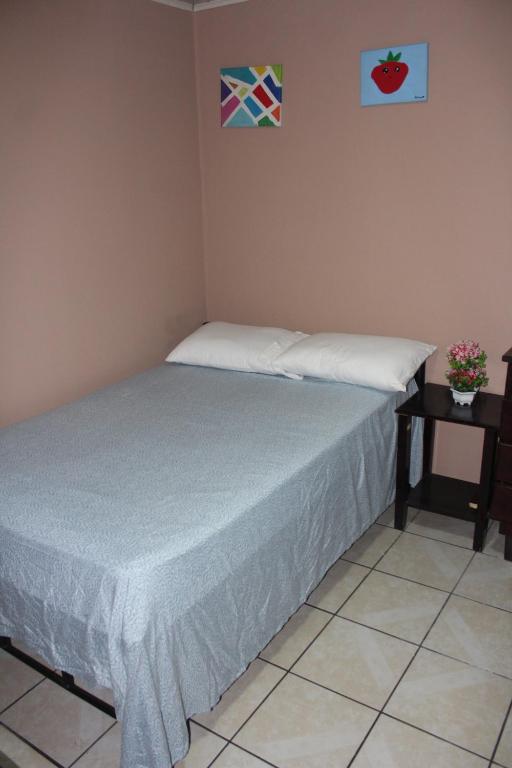 圣何塞多拉多酒店的一间卧室配有一张床和一张边桌