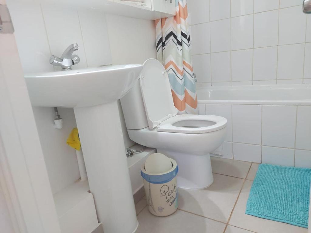 卡尔德拉Acogedor departamento en Caldera, Bahía Inglesa, con Aire Acondicionado的浴室配有盥洗盆、卫生间和浴缸。
