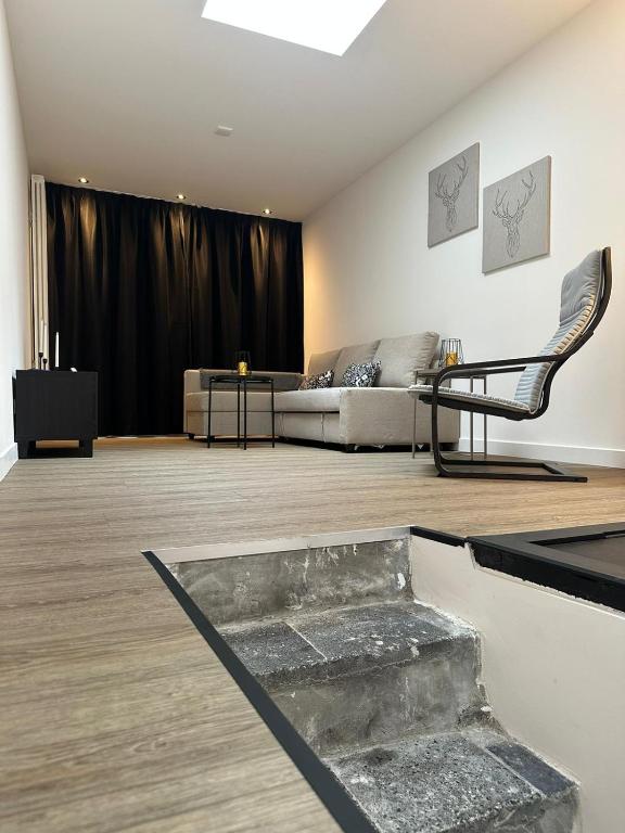 马斯特里赫特luxe pas gerenoveerd monumentaal appartement的客厅配有沙发和椅子