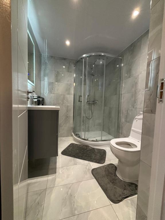 海维康Newly Build 2BR Property with free parking的一间带玻璃淋浴和卫生间的浴室
