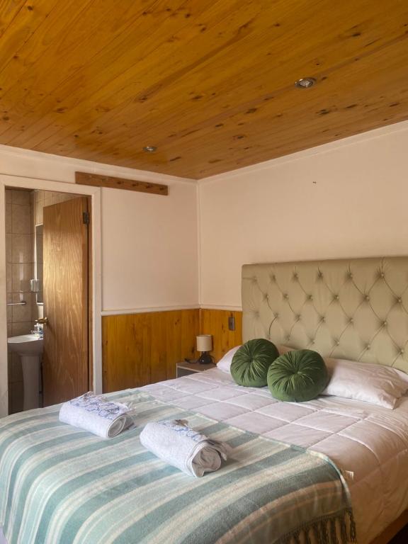 塞罗别墅卡斯蒂略Hospedaje Cabaña y Restaurante Don Niba的一间卧室配有一张带两个绿色枕头的床