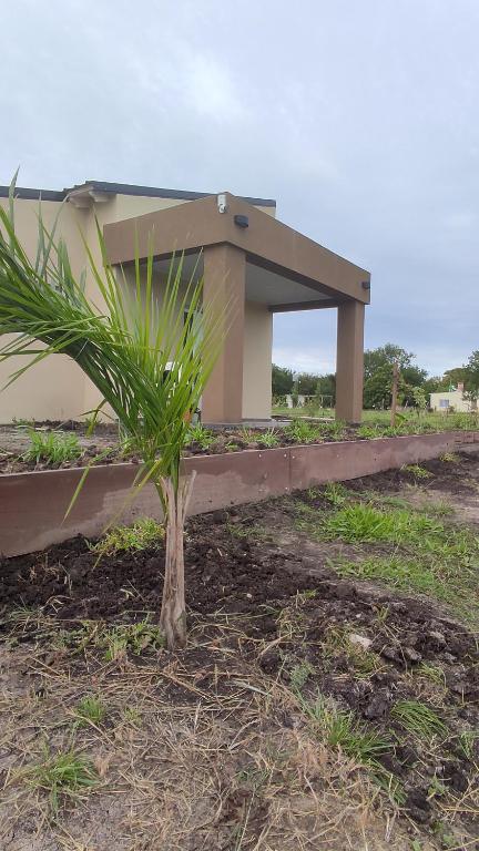 比亚瓜伊Alamos David的一座建筑前的小棕榈树