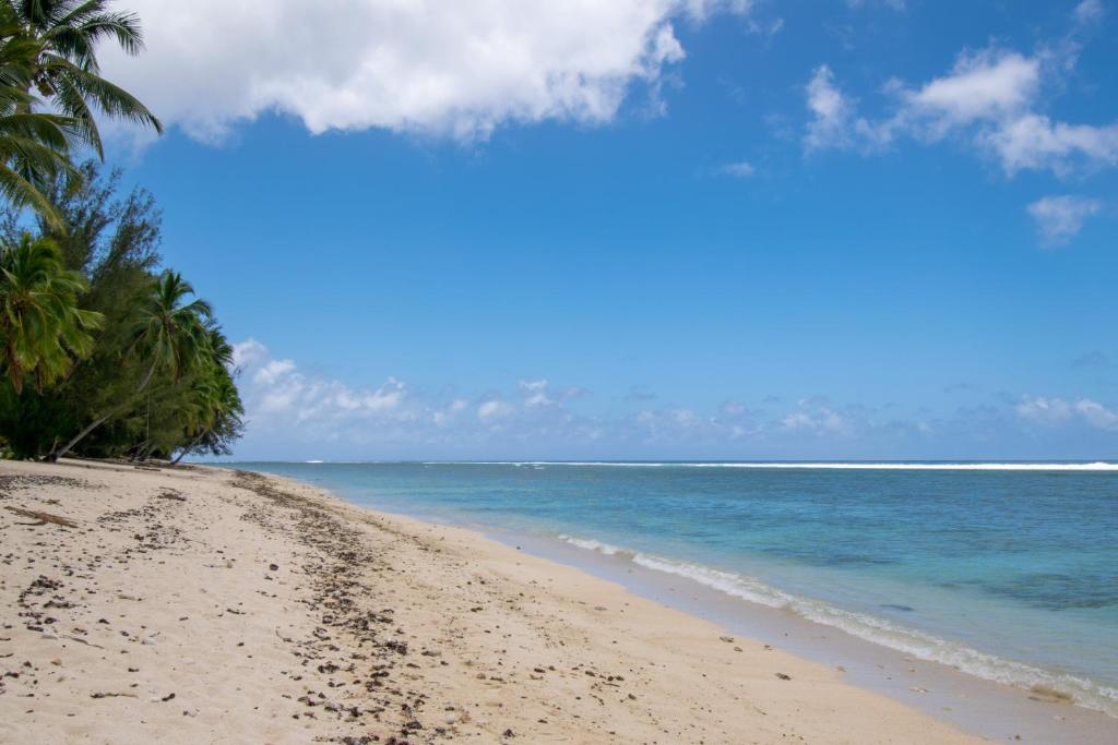 拉罗汤加Shoreline Escape Rarotonga的棕榈树海滩和海洋