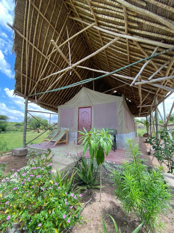 OlolaimutiekEco Mara Tented Camp的田野上带大屋顶的帐篷