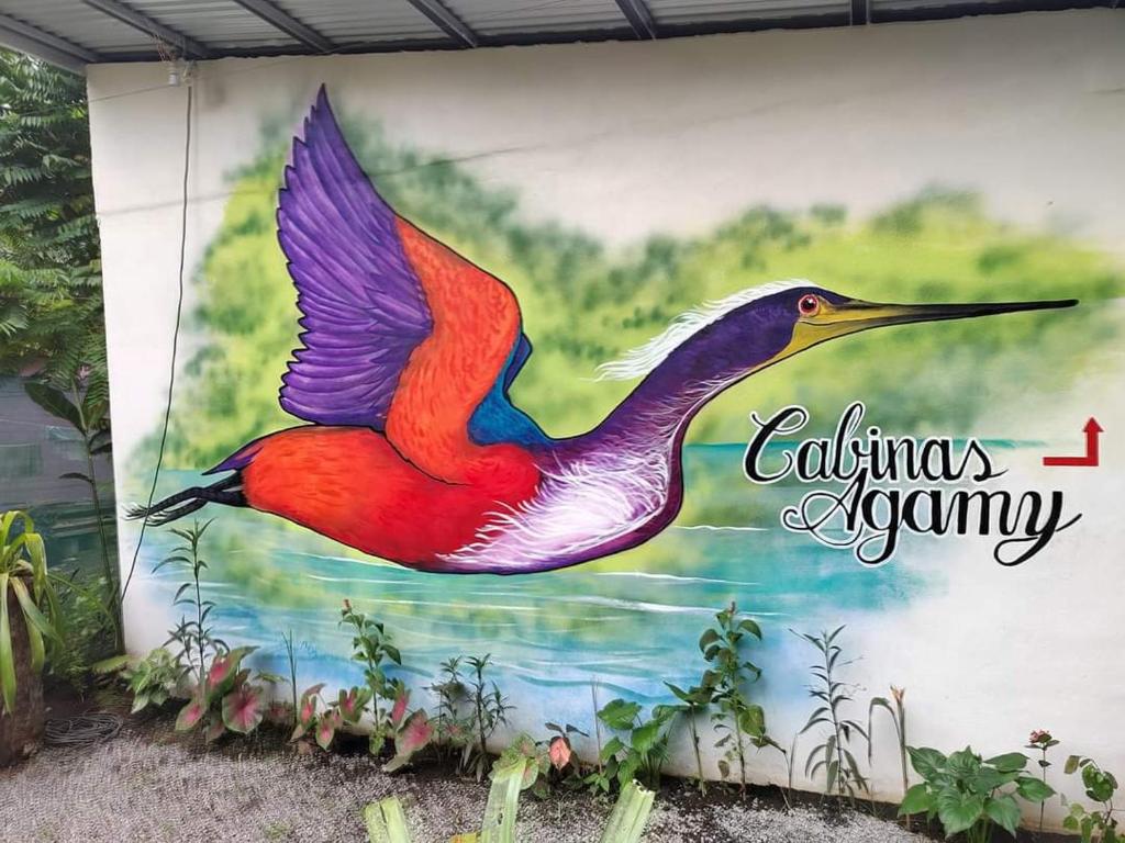 托尔图格罗Cabinas Agamy的墙上的鸟画