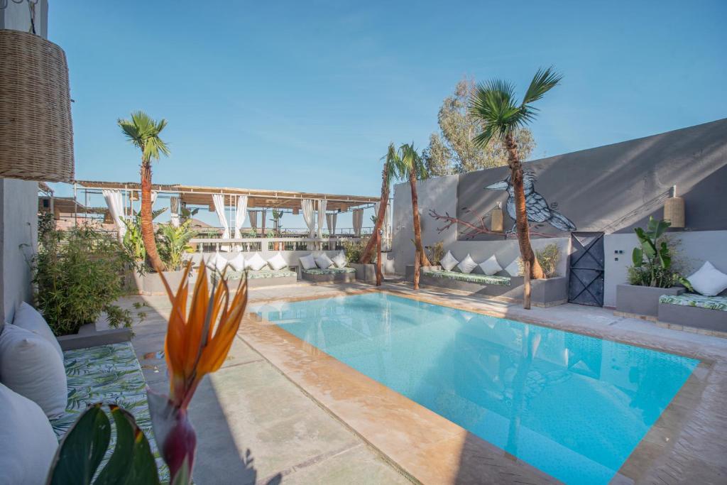 拉拉塔可库斯特Piccolo Bike Hotel的一座棕榈树游泳池,位于酒店大楼旁
