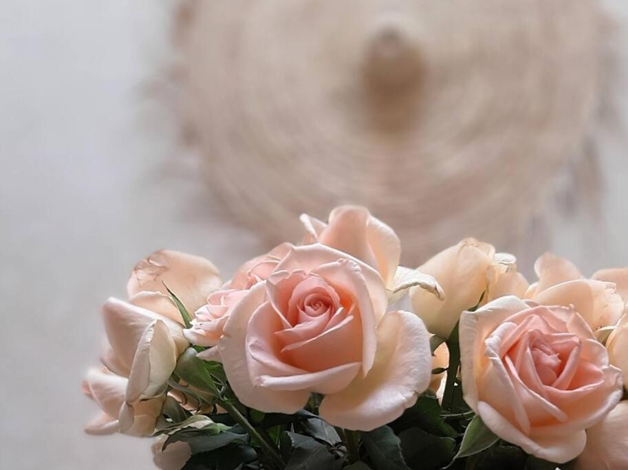马拉喀什Riad Nour, Maison de charme.的花瓶里一束粉红色玫瑰花