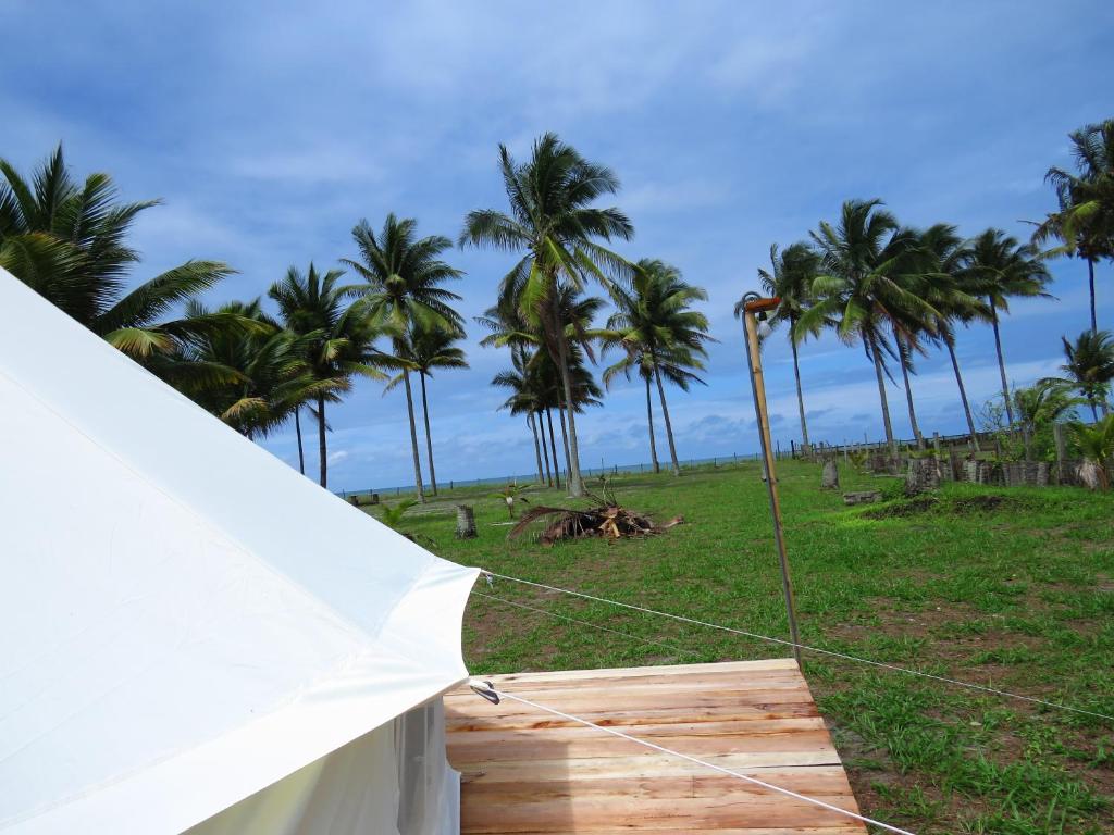 ZapotalGlamping La Isla Bonita (Isla Portete, Ecuador)的棕榈树掩映下的白色帐篷