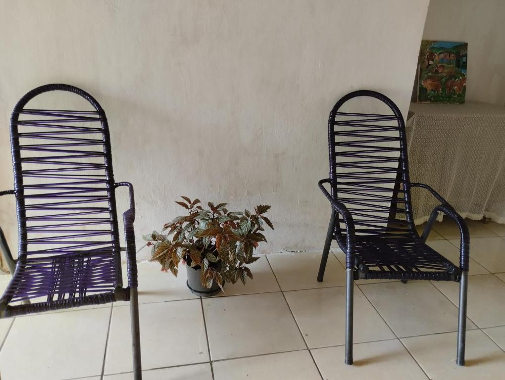 SapopemaPousada 4 estação的两把黑椅子坐在盆栽旁边