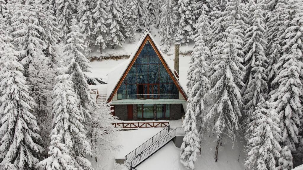 科帕奥尼克Sofia - Mountain Home的雪地小屋,有雪覆盖的树木