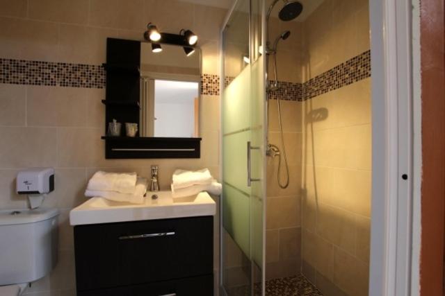 韦尔东的圣克鲁瓦LE COMPTOIR的浴室配有盥洗盆和带镜子的淋浴