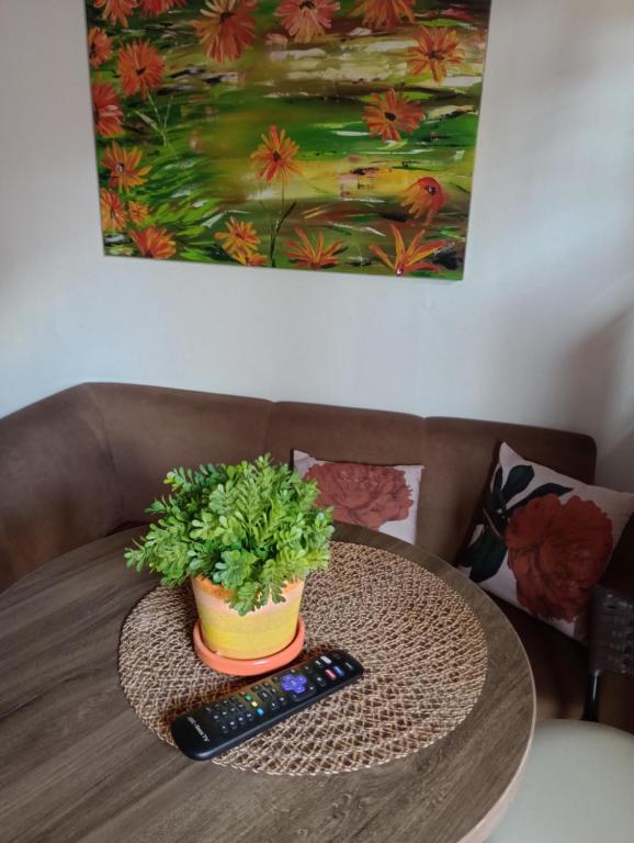 PalmasTedesco的一张桌子,上面有盆栽和两个遥控器