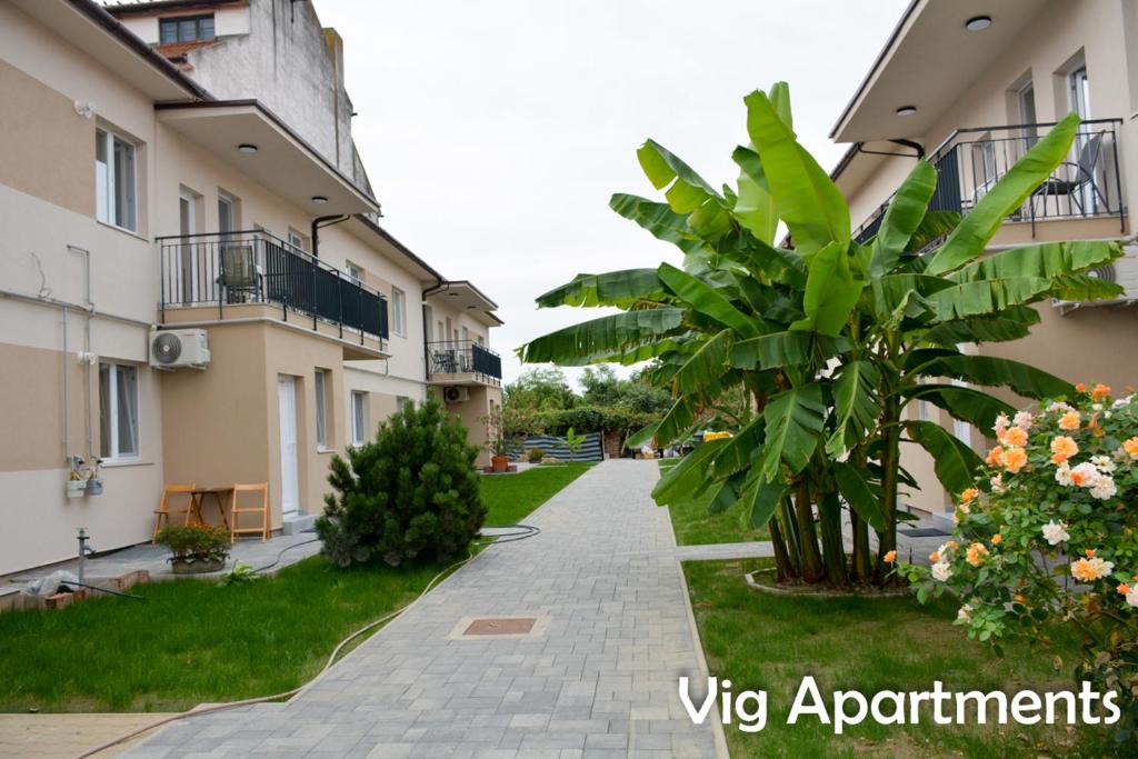 蒂米什瓦拉Vig Apartments的植物公寓大楼的庭院