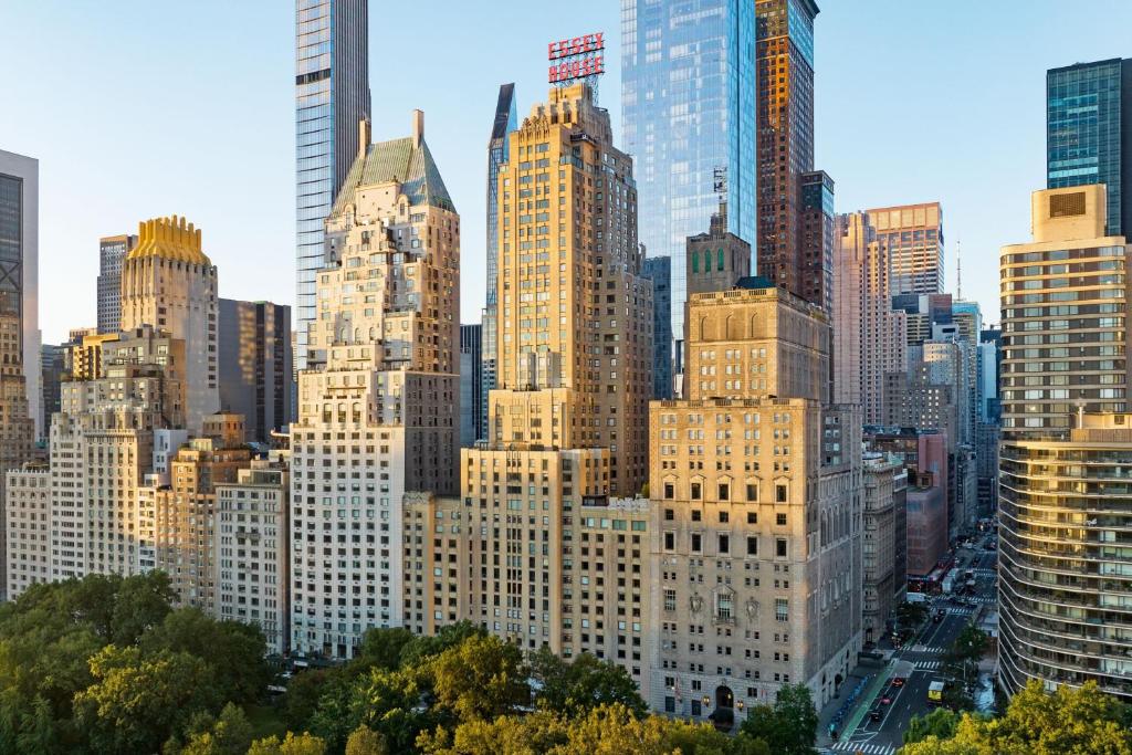 纽约朱美拉埃塞克斯酒店的享有大城市和高楼的景色