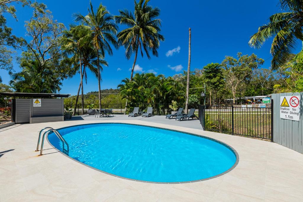 埃尔利海滩奇帕拉热带雨林旅馆的棕榈树庭院内的游泳池