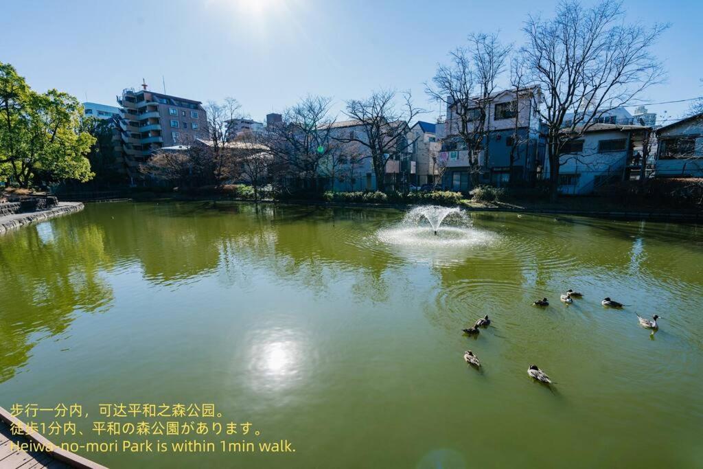 东京匯家風花ビル的一群鸭子在喷泉池塘里游泳