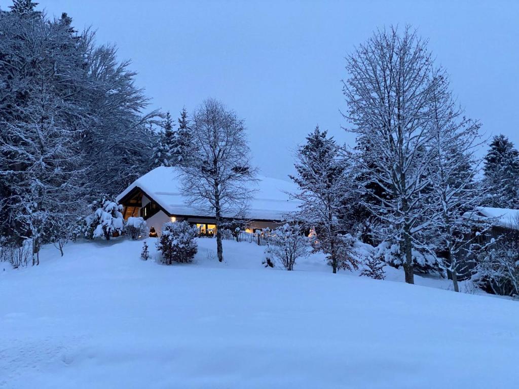 托特莫斯Amadeus Black Forest Mountain的树前的雪覆盖的房子