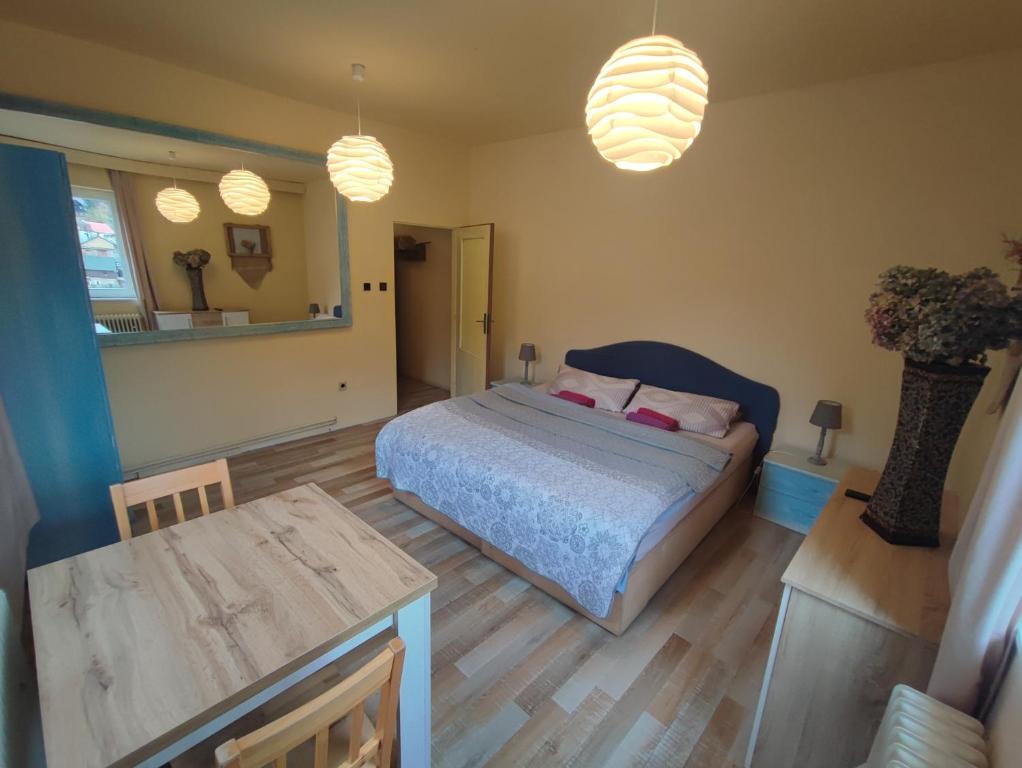 赫任斯科Penzion Přívoz的一间卧室配有一张床、一张桌子和吊灯