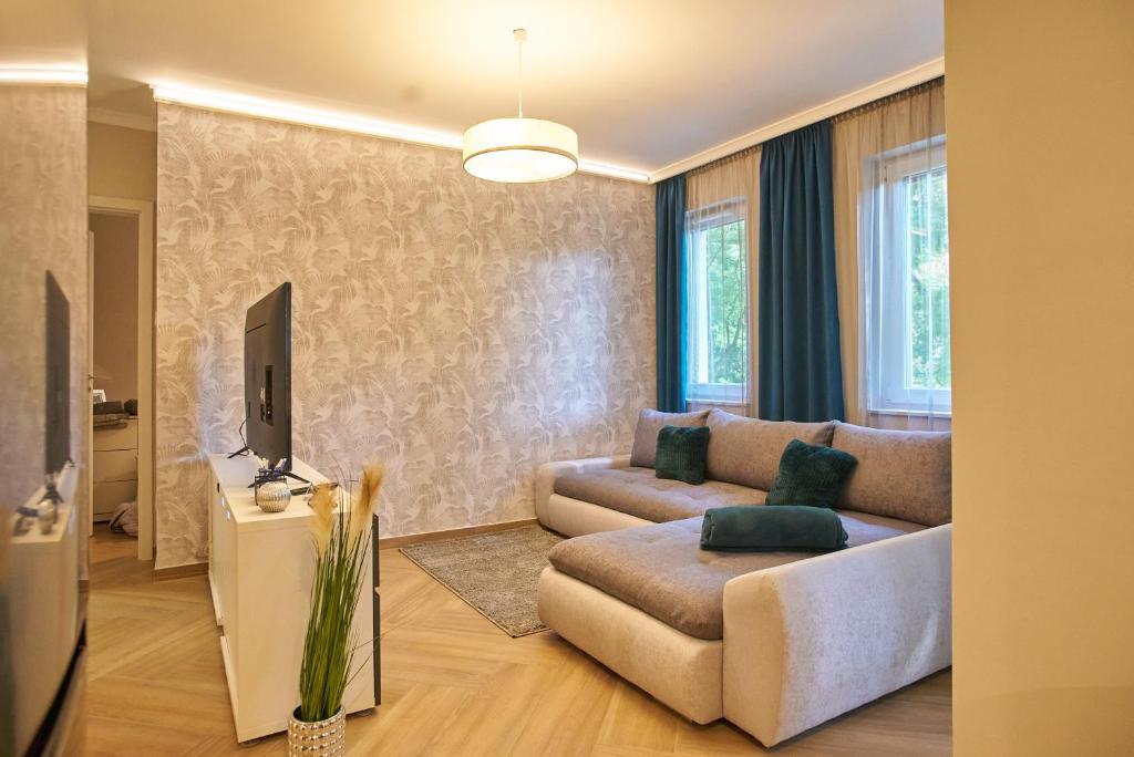 塞格德Sunlight Silver Plus Szeged - Exclusive的带沙发和电视的客厅