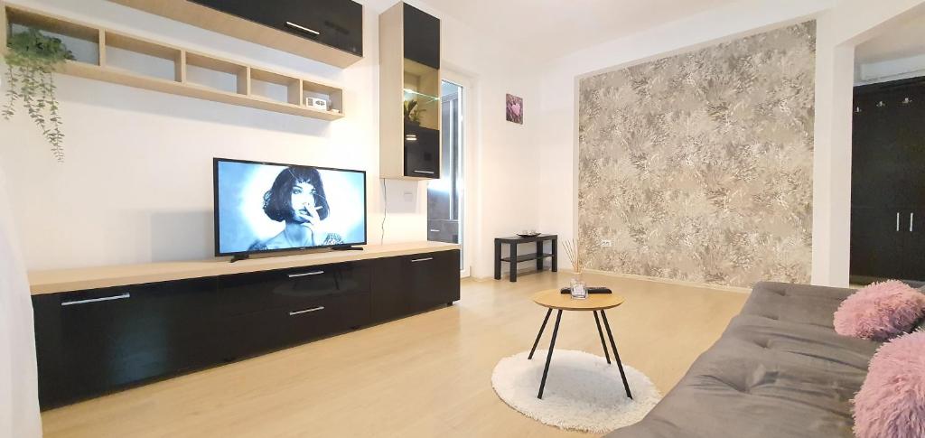 布加勒斯特Cosy 2 room flat -Netflix/Coffee/PS4/Prosecco/3xTV的带沙发和平面电视的客厅