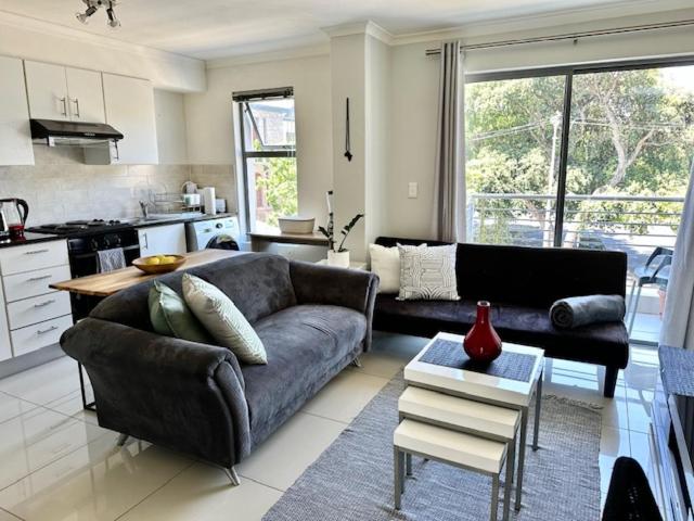 开普敦Cozy Rondebosch Apartment的带沙发的客厅和厨房