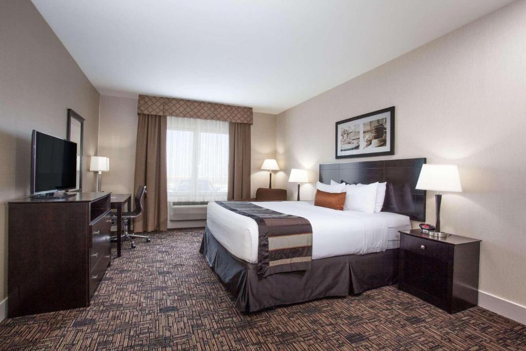 勒杜克Radisson Hotel Edmonton Airport的配有一张床和一台平面电视的酒店客房