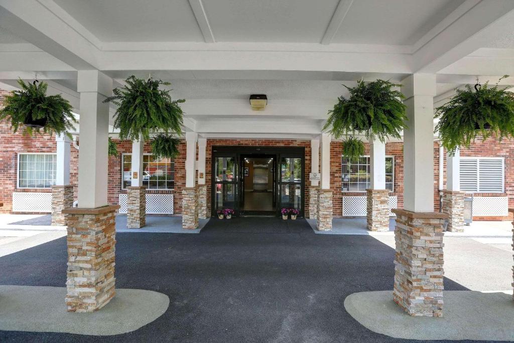 夏洛特卡尔森夏洛特机场乡村旅馆和套房酒店的建筑里两棵盆栽的走廊