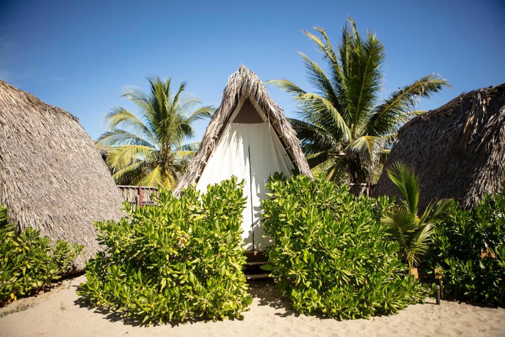 GuayabasPorã Chacahua的棕榈树海滩上的白色帐篷