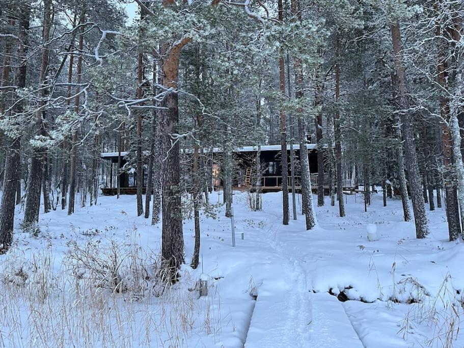 罗瓦涅米A unique lakeside cottage的雪中树林中的小屋