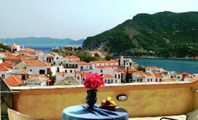 斯科派洛斯蓝色巨人酒店的享有城镇景致的桌子上的花瓶