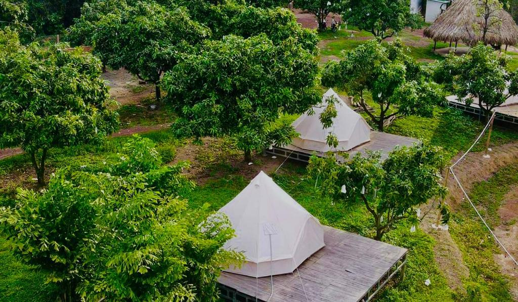 The Secret Garden Camping - Hồ Trị An的树田帐篷的顶部景色