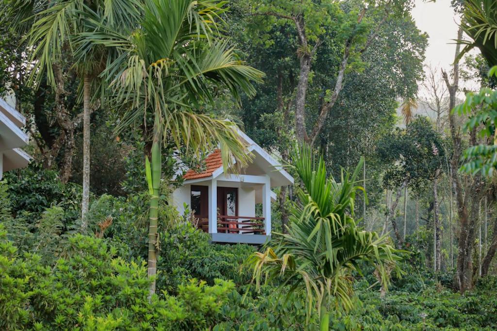 维特利Dhanagiri Home Stay的森林中间的小房子