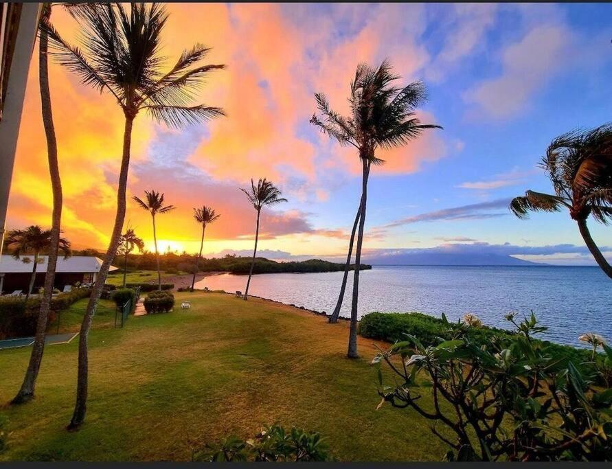 UalapueOceanfront true 2 bedroom w/lanai on Molokai的一群棕榈树在水边,日落