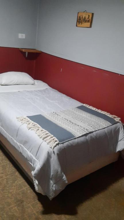 纳塔列斯港Hostal Nuria (Puerto Natales,Chile)的红色墙壁的房间里一张床位