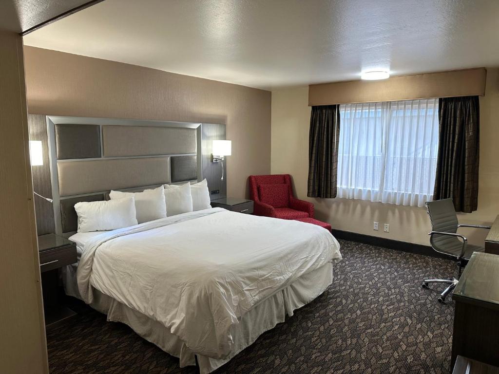 尤巴城Red Roof Inn Yuba City的酒店客房,配有一张床和一张红色椅子