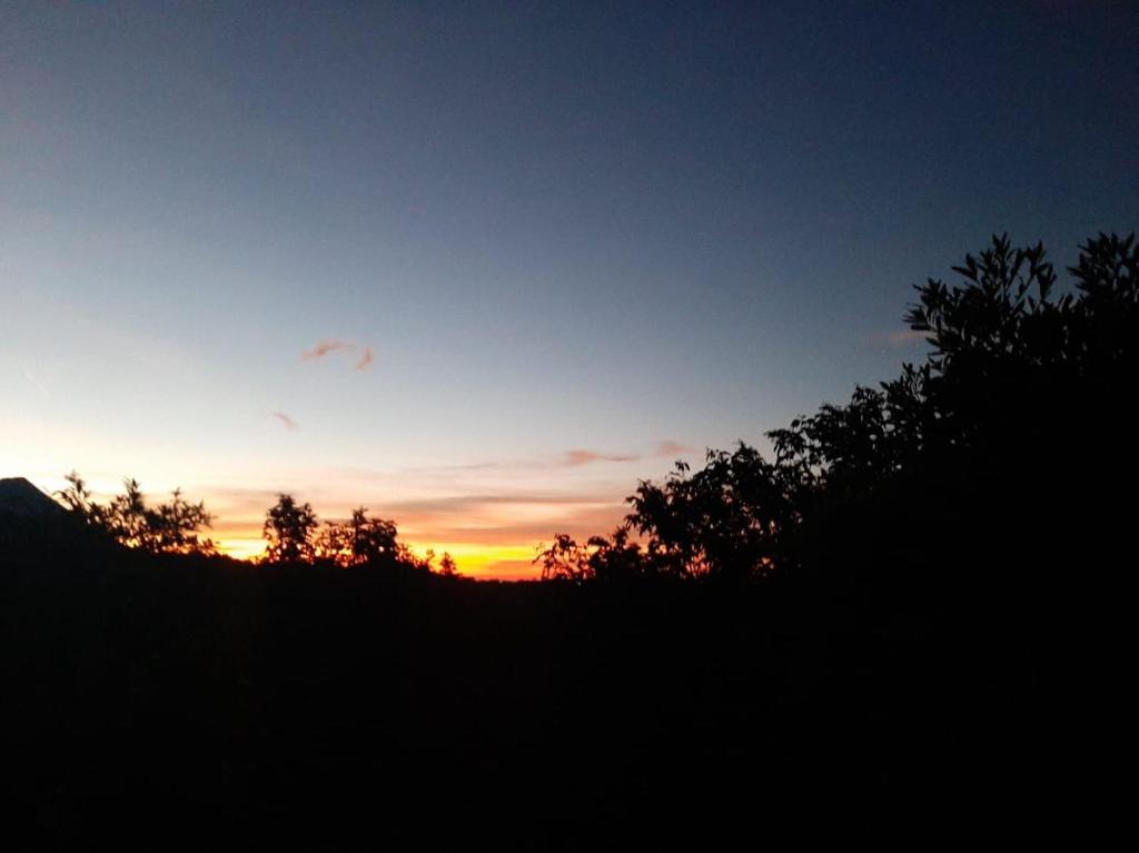 松索纳特CASA JARDIN的山丘上,在前方的树丛中,日落