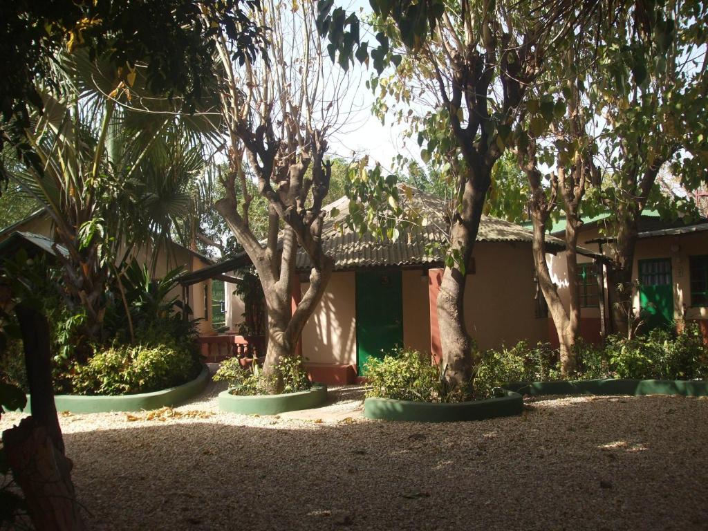 SukutaCamping-Sukuta & Lodge的建筑前的一群树木