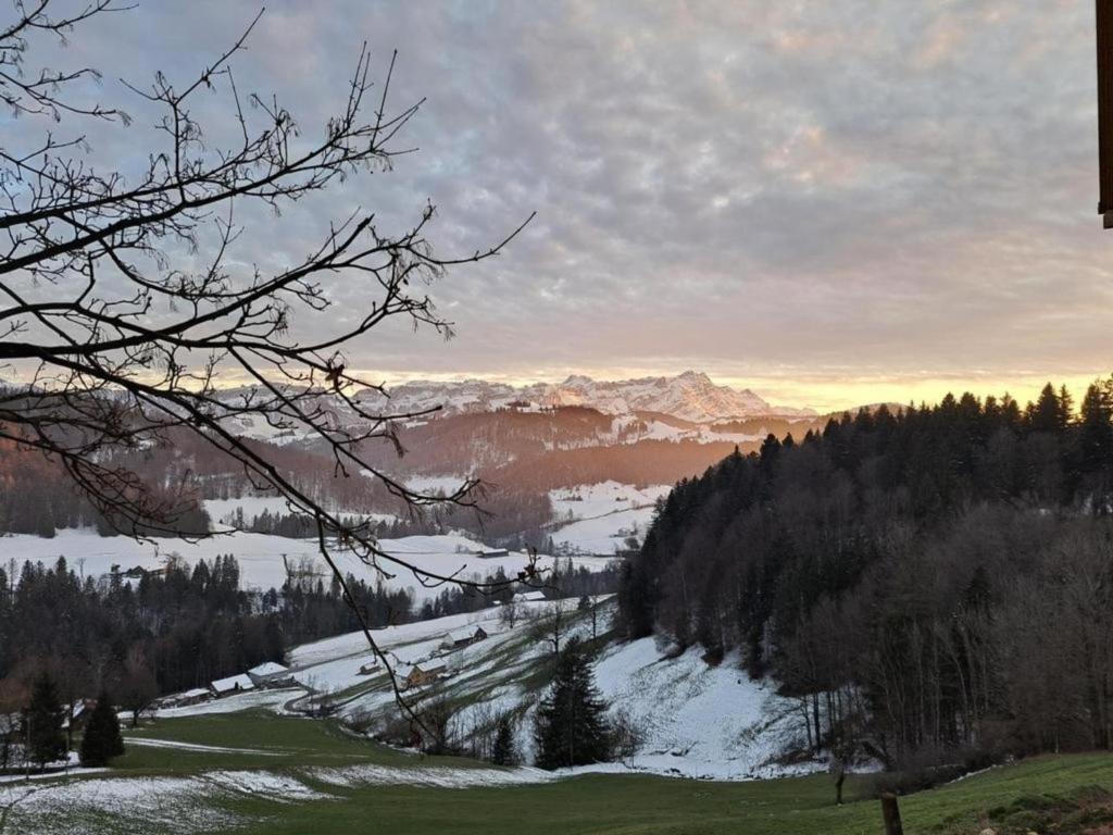 BühlerSennastübli的享有雪覆盖的山谷和山脉的景色
