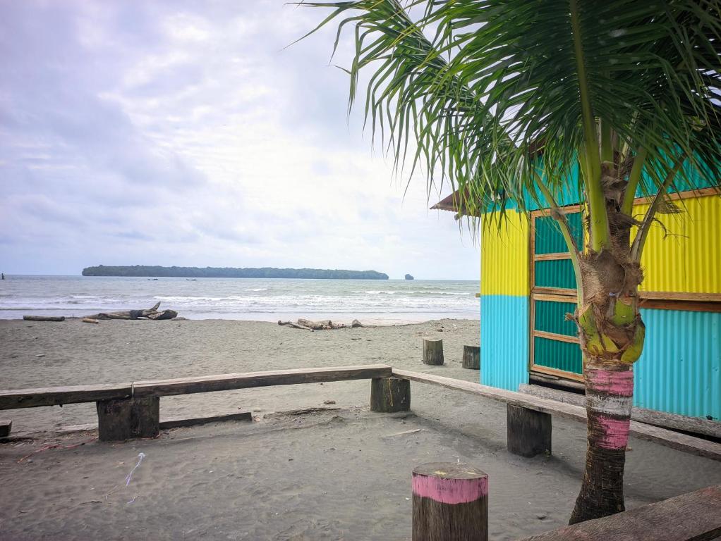 Playa LadrillerosApartamento Playa Juanchaco的海滩上一座建筑旁边的棕榈树