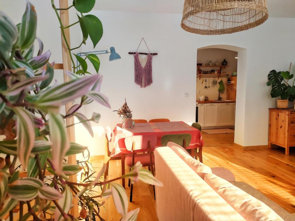 耶德利纳-兹德鲁伊Apartament Borówka的客厅配有桌子和一些植物