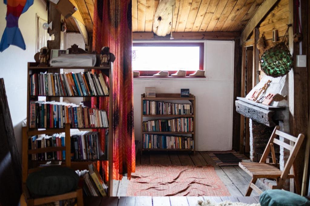 巴拉德瓦利扎斯Satori的书架上书架的房间