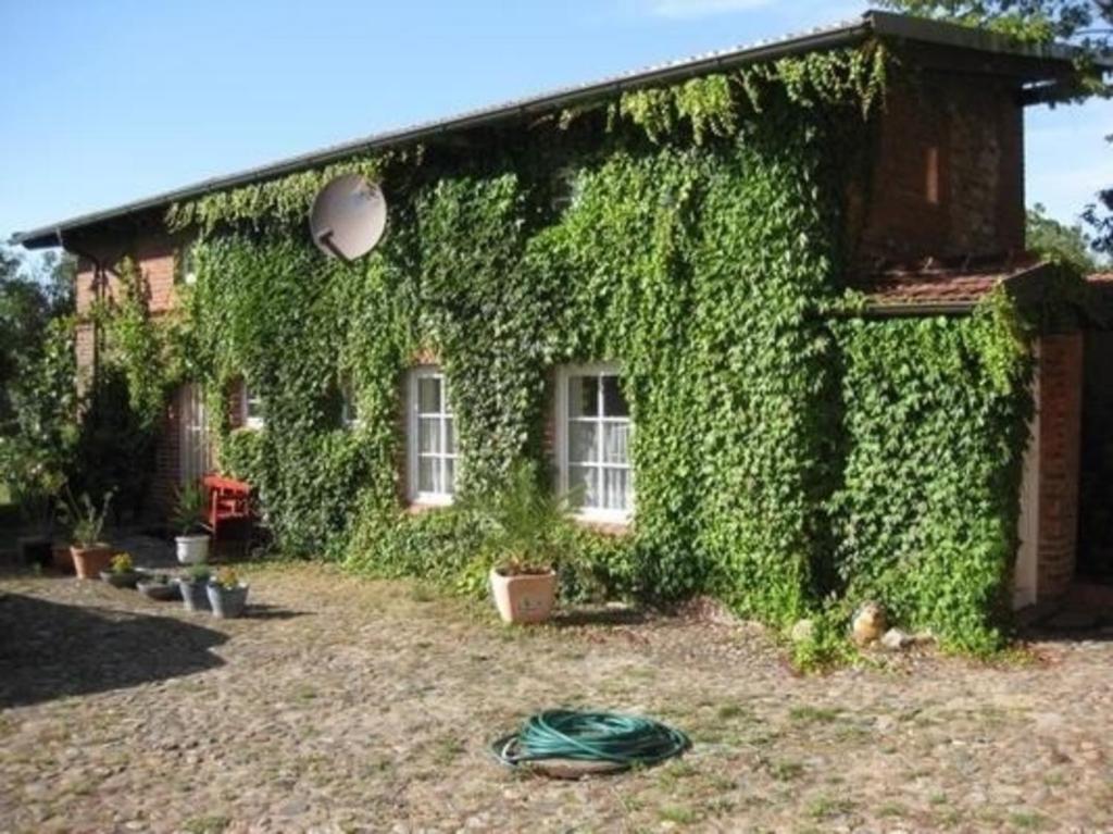 林多夫Gemütliches Ferienhaus in Lindow Mark mit Garten und Grill - b48500的常春藤覆盖的院子