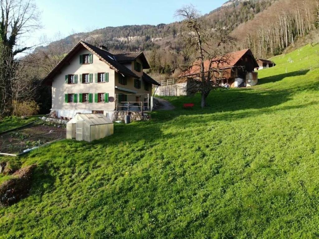 菲茨瑙Thal - b48769的山丘上带绿地的房子