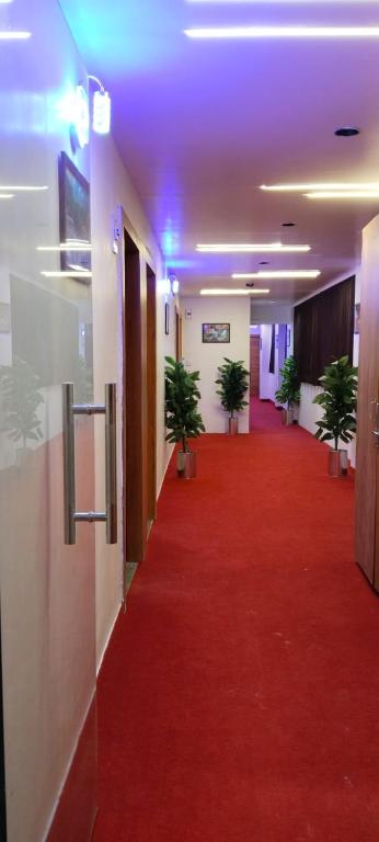 甘地讷格尔Hotel Royal Relax的走廊上铺有红地毯,种植了盆栽植物