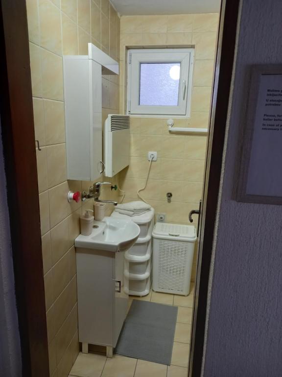 阿然德洛维克Planinska kuca Steki Bukulja的一间带水槽和卫生间的小浴室
