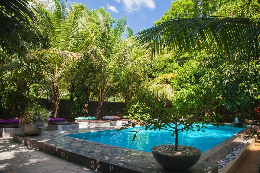 蒂瑟默哈拉默麦维里吉酒店的旁边是一座棕榈树游泳池