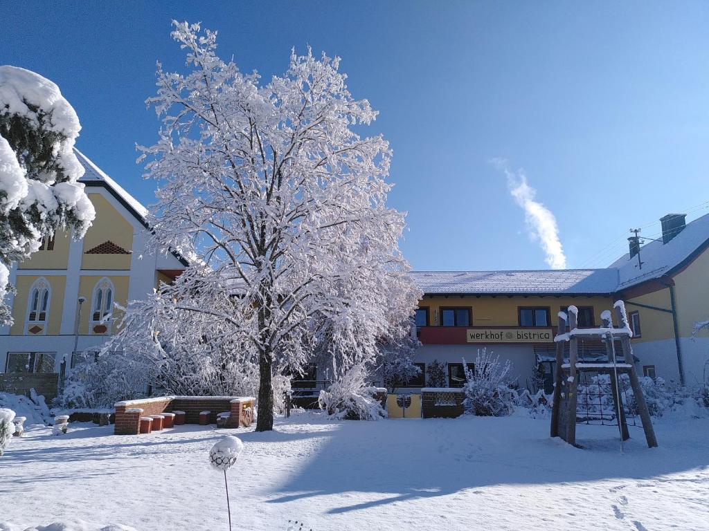 HofWerkhof Bistrica的建筑物前的雪覆盖的树