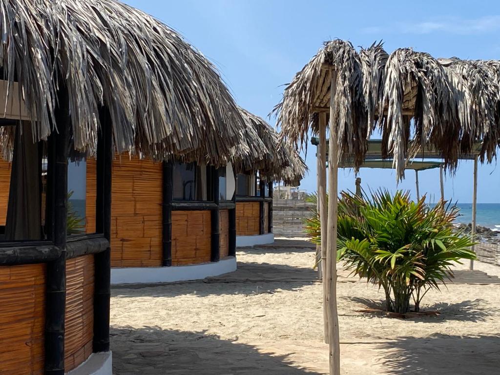 CanoasMarinus Eco Lodge的海边一排小屋